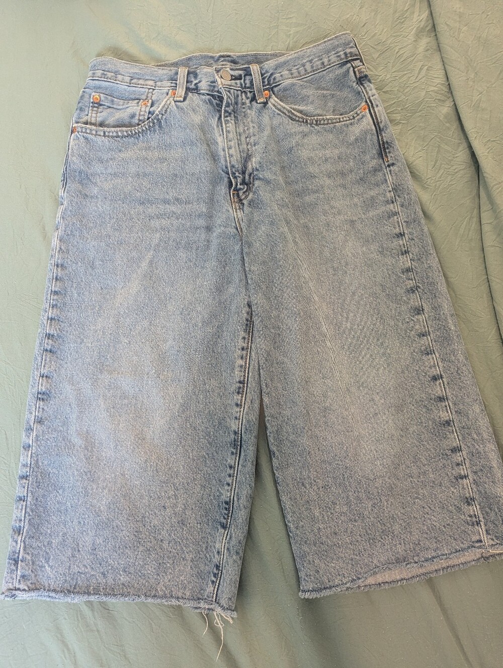 Levis Jorts